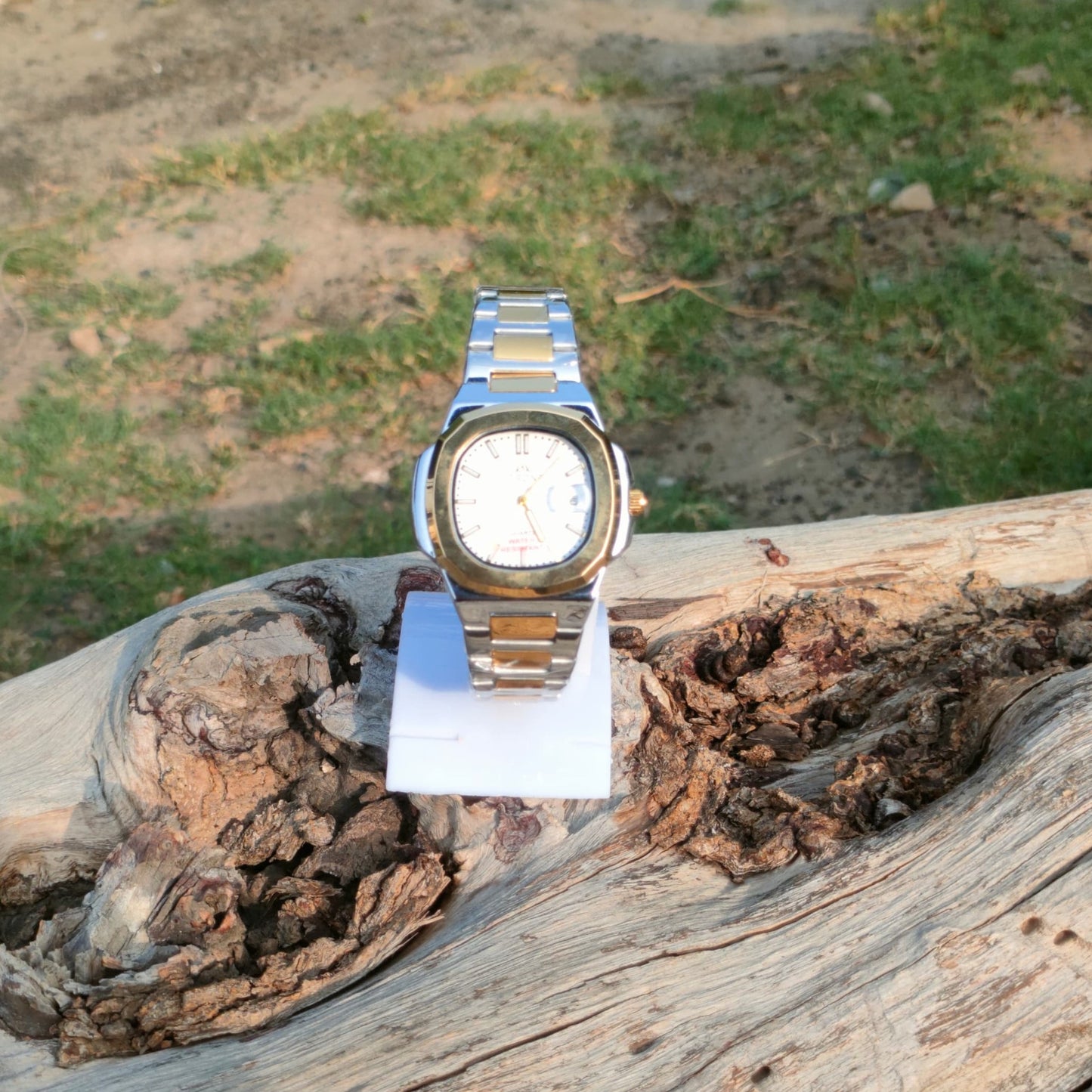 Two Tone Atrone Watch