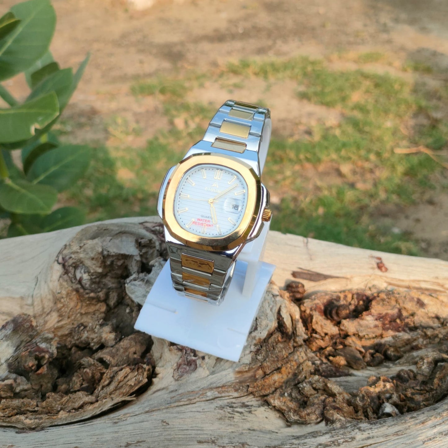 Two Tone Atrone Watch